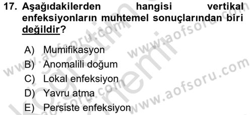 Viroloji Dersi Ara Sınavı Deneme Sınav Soruları 17. Soru