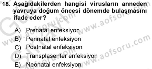 Viroloji Dersi Ara Sınavı Deneme Sınav Soruları 18. Soru