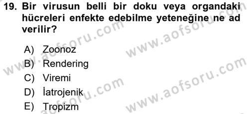 Viroloji Dersi 2017 - 2018 Yılı (Vize) Ara Sınavı 19. Soru