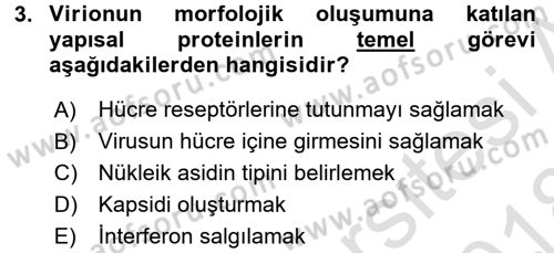 Viroloji Dersi 2017 - 2018 Yılı (Vize) Ara Sınav Soruları 3. Soru