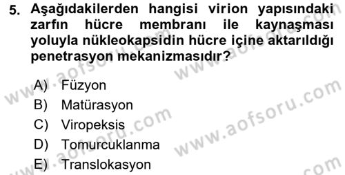 Viroloji Dersi 2017 - 2018 Yılı (Vize) Ara Sınavı 5. Soru