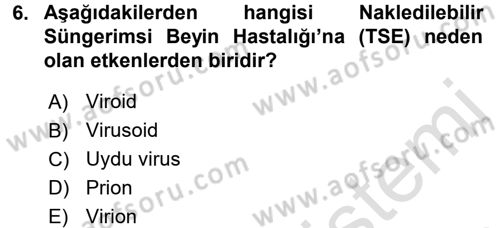 Viroloji Dersi 2017 - 2018 Yılı (Vize) Ara Sınav Soruları 6. Soru