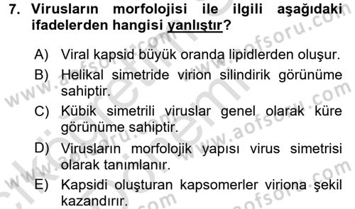 Viroloji Dersi Ara Sınavı Deneme Sınav Soruları 7. Soru