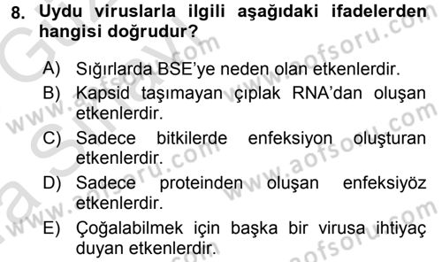 Viroloji Dersi Ara Sınavı Deneme Sınav Soruları 8. Soru