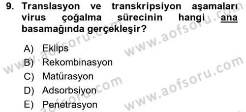 Viroloji Dersi Ara Sınavı Deneme Sınav Soruları 9. Soru