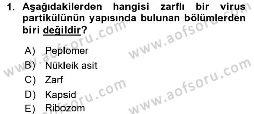 Viroloji Dersi 2017 - 2018 Yılı (Final) Dönem Sonu Sınav Soruları 1. Soru