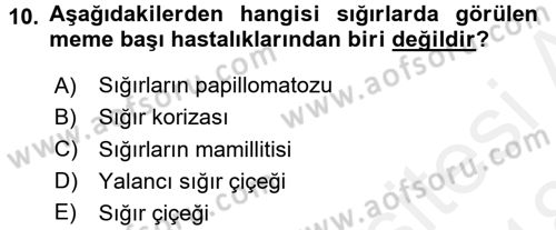 Viroloji Dersi 2017 - 2018 Yılı (Final) Dönem Sonu Sınav Soruları 10. Soru