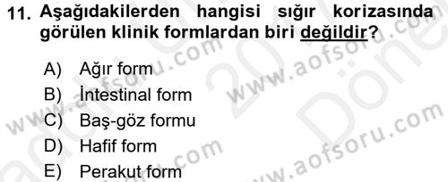 Viroloji Dersi 2017 - 2018 Yılı (Final) Dönem Sonu Sınav Soruları 11. Soru