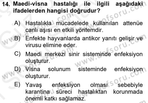 Viroloji Dersi 2017 - 2018 Yılı (Final) Dönem Sonu Sınav Soruları 14. Soru