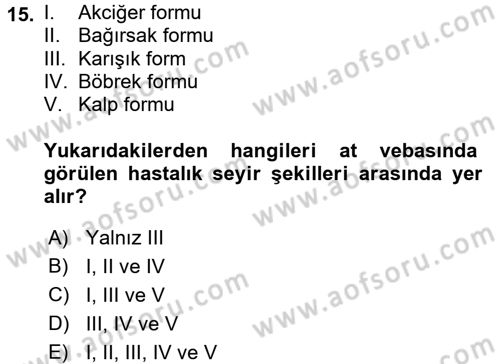 Viroloji Dersi 2017 - 2018 Yılı (Final) Dönem Sonu Sınav Soruları 15. Soru