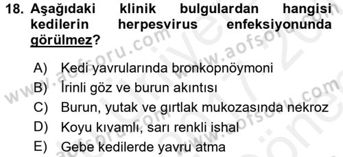 Viroloji Dersi 2017 - 2018 Yılı (Final) Dönem Sonu Sınavı 18. Soru