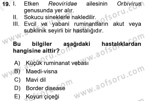 Viroloji Dersi 2017 - 2018 Yılı (Final) Dönem Sonu Sınav Soruları 19. Soru