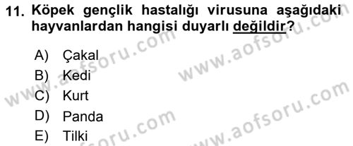 Viroloji Dersi 2018 - 2019 Yılı 3 Ders Sınav Soruları 11. Soru