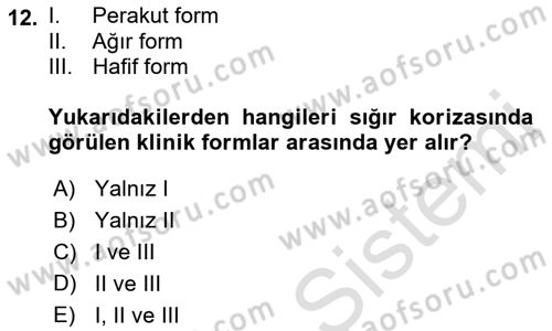 Viroloji Dersi 2018 - 2019 Yılı 3 Ders Sınav Soruları 12. Soru