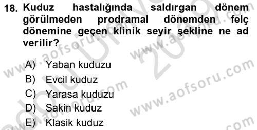 Viroloji Dersi 2018 - 2019 Yılı 3 Ders Sınav Soruları 18. Soru