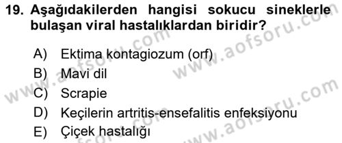 Viroloji Dersi 2018 - 2019 Yılı 3 Ders Sınav Soruları 19. Soru