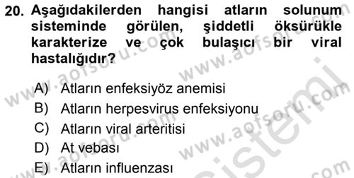 Viroloji Dersi 2018 - 2019 Yılı 3 Ders Sınav Soruları 20. Soru
