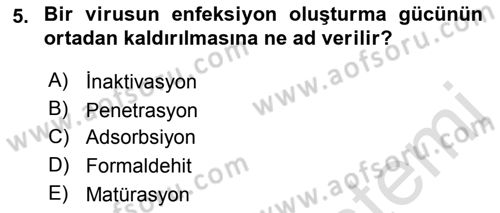 Viroloji Dersi 2018 - 2019 Yılı 3 Ders Sınavı 5. Soru