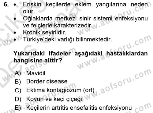 Viroloji Dersi 2018 - 2019 Yılı 3 Ders Sınav Soruları 6. Soru