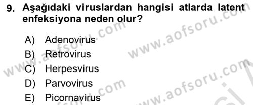 Viroloji Dersi 2018 - 2019 Yılı 3 Ders Sınavı 9. Soru