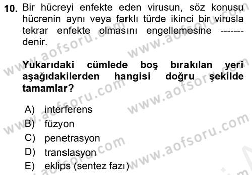 Viroloji Dersi Ara Sınavı Deneme Sınav Soruları 10. Soru