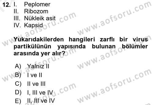 Viroloji Dersi Ara Sınavı Deneme Sınav Soruları 12. Soru
