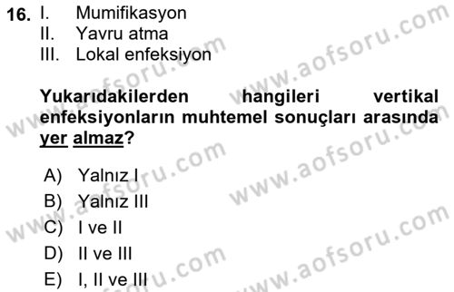 Viroloji Dersi Ara Sınavı Deneme Sınav Soruları 16. Soru
