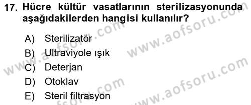 Viroloji Dersi Ara Sınavı Deneme Sınav Soruları 17. Soru