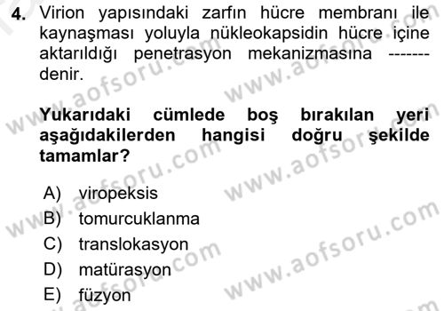 Viroloji Dersi 2018 - 2019 Yılı (Vize) Ara Sınavı 4. Soru