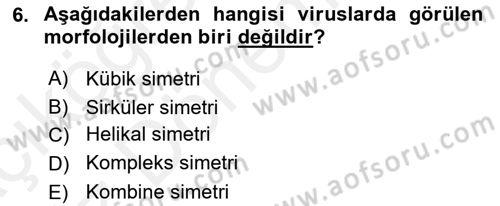 Viroloji Dersi Ara Sınavı Deneme Sınav Soruları 6. Soru