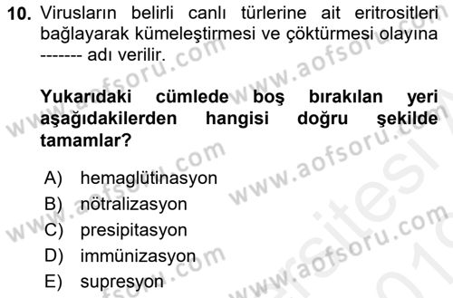 Viroloji Dersi 2018 - 2019 Yılı (Final) Dönem Sonu Sınav Soruları 10. Soru