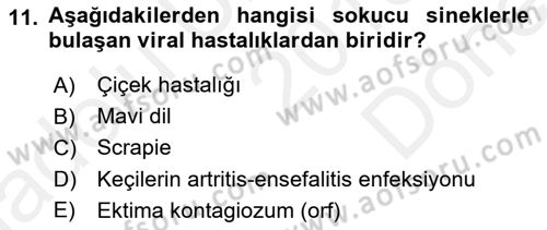 Viroloji Dersi 2018 - 2019 Yılı (Final) Dönem Sonu Sınav Soruları 11. Soru