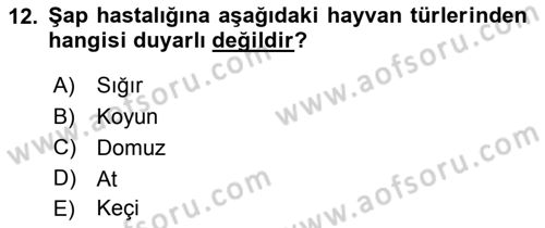 Viroloji Dersi 2018 - 2019 Yılı (Final) Dönem Sonu Sınav Soruları 12. Soru