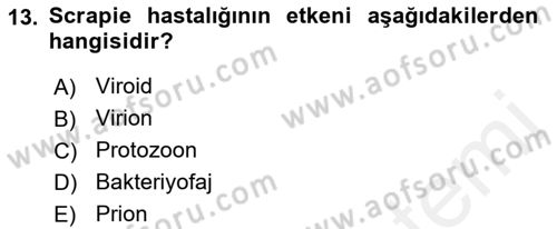 Viroloji Dersi 2018 - 2019 Yılı (Final) Dönem Sonu Sınav Soruları 13. Soru