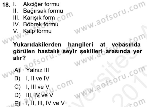 Viroloji Dersi 2018 - 2019 Yılı (Final) Dönem Sonu Sınav Soruları 18. Soru