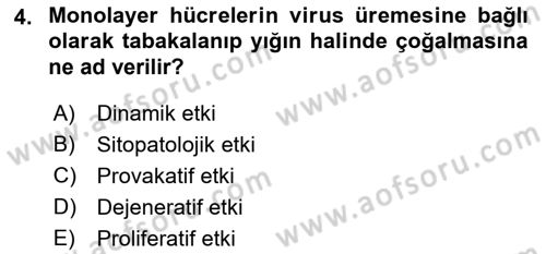 Viroloji Dersi 2018 - 2019 Yılı (Final) Dönem Sonu Sınav Soruları 4. Soru
