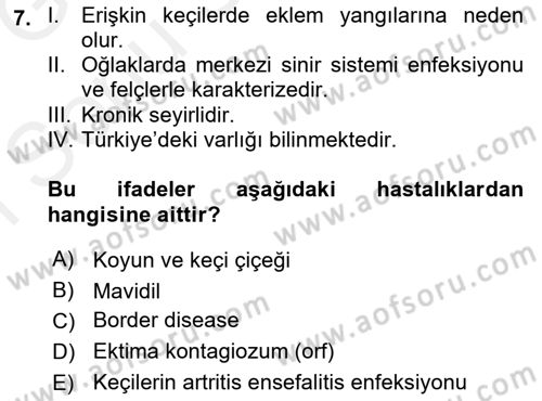 Viroloji Dersi 2018 - 2019 Yılı (Final) Dönem Sonu Sınav Soruları 7. Soru