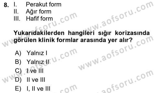 Viroloji Dersi 2018 - 2019 Yılı (Final) Dönem Sonu Sınav Soruları 8. Soru