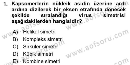 Viroloji Dersi 2018 - 2019 Yılı Yaz Okulu Sınav Soruları 1. Soru