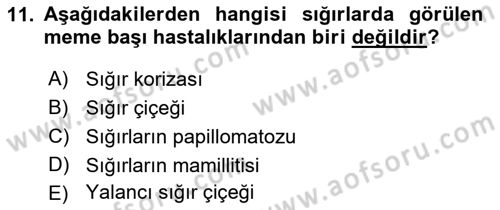 Viroloji Dersi 2018 - 2019 Yılı Yaz Okulu Sınav Soruları 11. Soru
