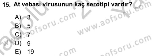 Viroloji Dersi 2018 - 2019 Yılı Yaz Okulu Sınav Soruları 15. Soru