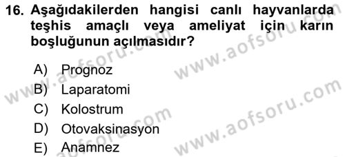 Viroloji Dersi 2018 - 2019 Yılı Yaz Okulu Sınav Soruları 16. Soru