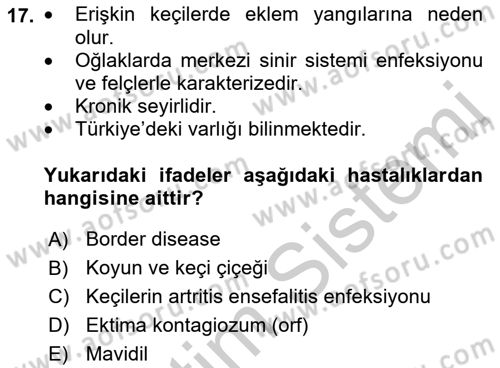 Viroloji Dersi 2018 - 2019 Yılı Yaz Okulu Sınav Soruları 17. Soru