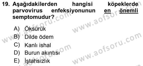 Viroloji Dersi 2018 - 2019 Yılı Yaz Okulu Sınav Soruları 19. Soru