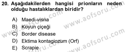 Viroloji Dersi 2018 - 2019 Yılı Yaz Okulu Sınav Soruları 20. Soru
