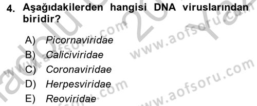 Viroloji Dersi 2018 - 2019 Yılı Yaz Okulu Sınav Soruları 4. Soru