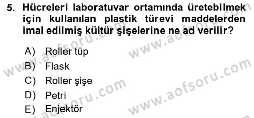 Viroloji Dersi 2018 - 2019 Yılı Yaz Okulu Sınav Soruları 5. Soru