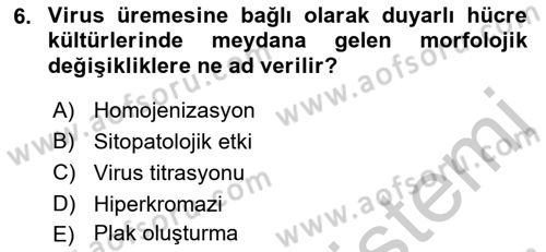 Viroloji Dersi 2018 - 2019 Yılı Yaz Okulu Sınav Soruları 6. Soru
