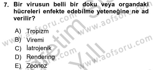 Viroloji Dersi 2018 - 2019 Yılı Yaz Okulu Sınav Soruları 7. Soru