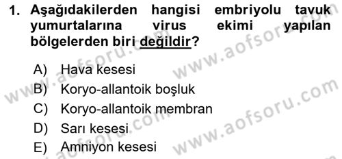 Viroloji Dersi Ara Sınavı Deneme Sınav Soruları 1. Soru